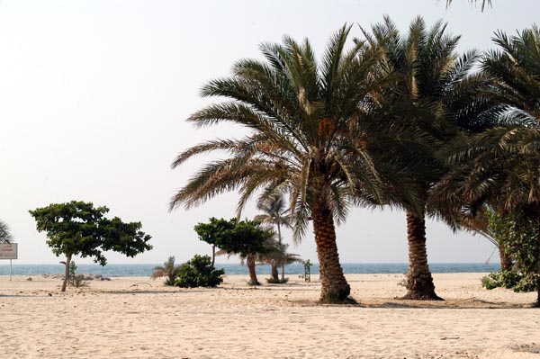 παραλία της Sharjah