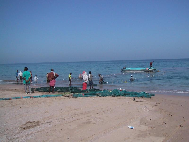 ψαράδες σε δράση στην Fujairah