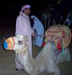 πορεία με καμήλες